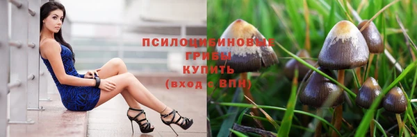 амф Алексеевка