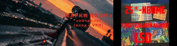 бошки Алексин