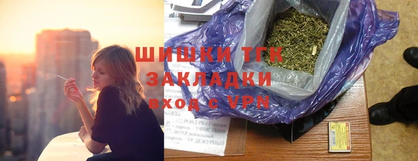 бошки Алексин