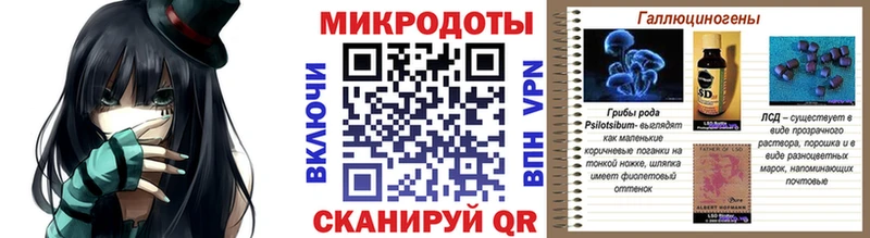 Псилоцибиновые грибы Cubensis  закладка  Межгорье 